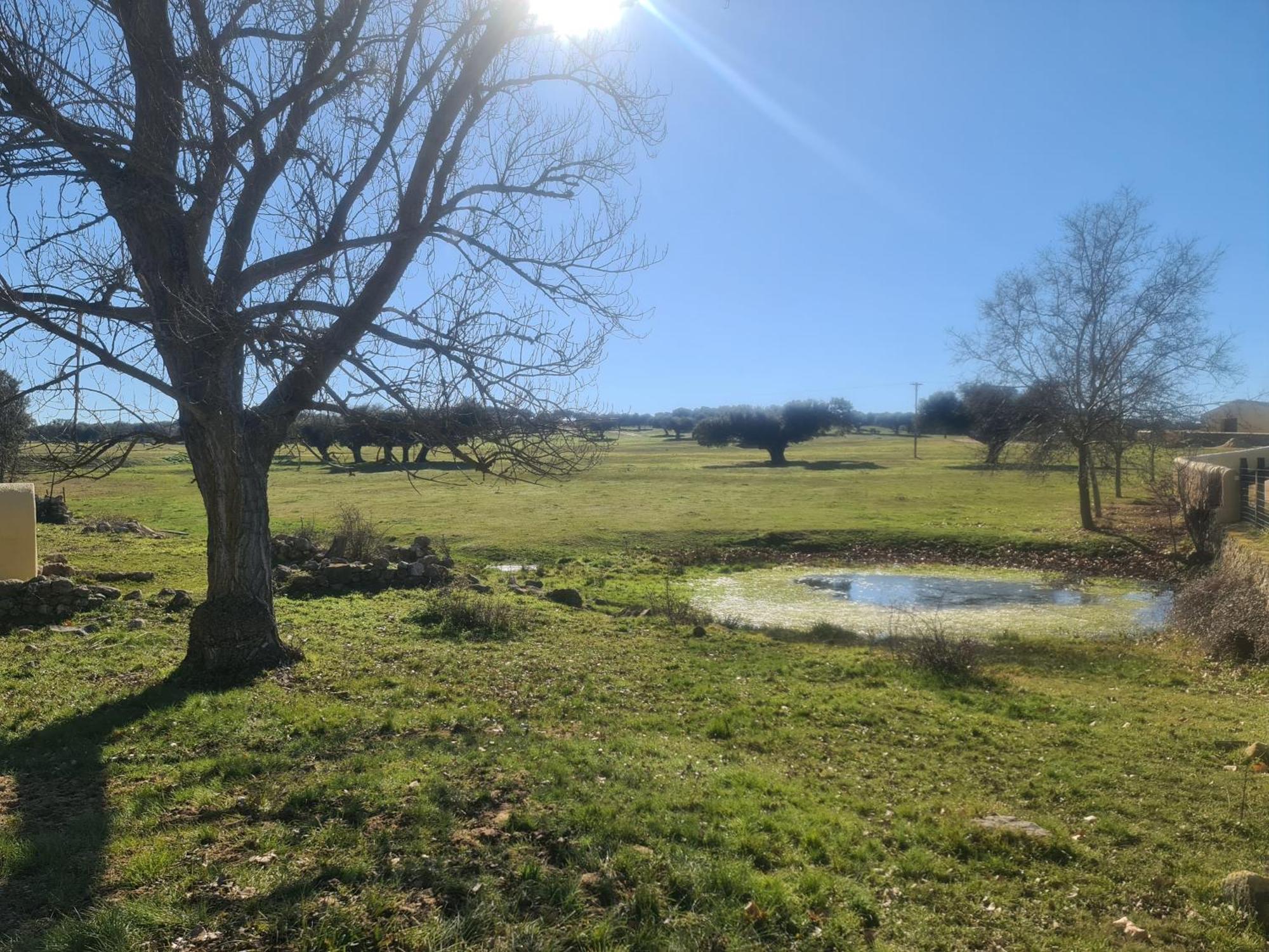 Casa Rural Palacio Conde De Aldana Con Piscina Entre Encinares Y Dehesas Terradillos Kültér fotó